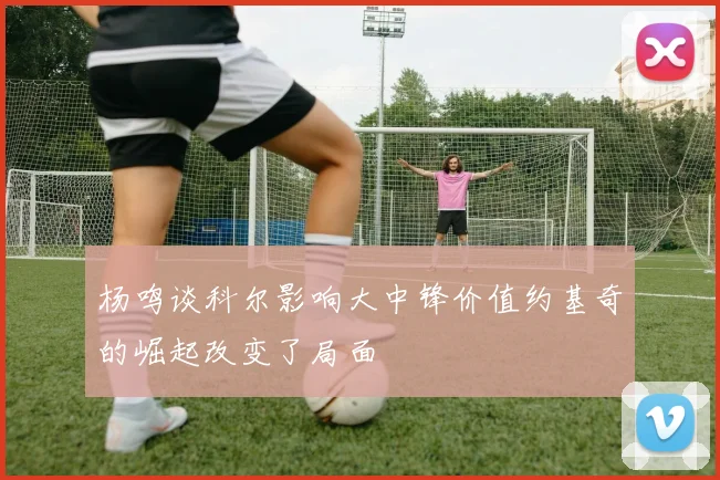 杨鸣谈科尔影响大中锋价值约基奇的崛起改变了局面