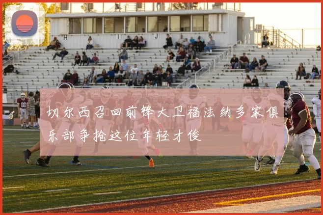 切尔西召回前锋大卫福法纳多家俱乐部争抢这位年轻才俊